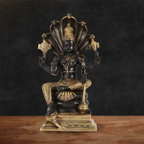 Black Vishnu Statue Sitting on Seshnaag