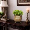 Brass Handcrafted Vintage Planter - 11 inches